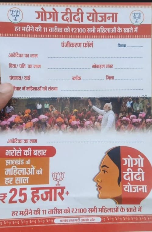 Gogo Didi Yojana Form Download Online