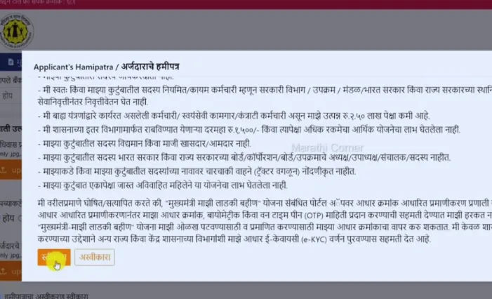 Ladki Bahin Yojana Maharashtra