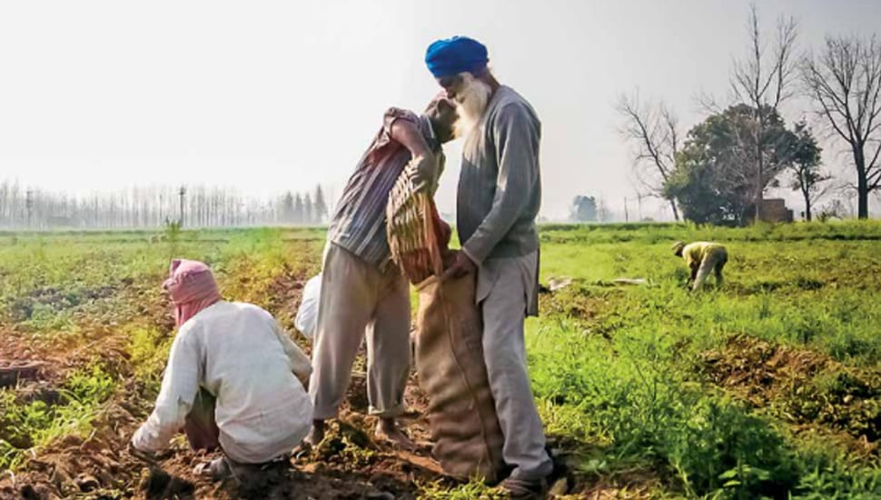 NABARD Dairy Farming Loan Scheme