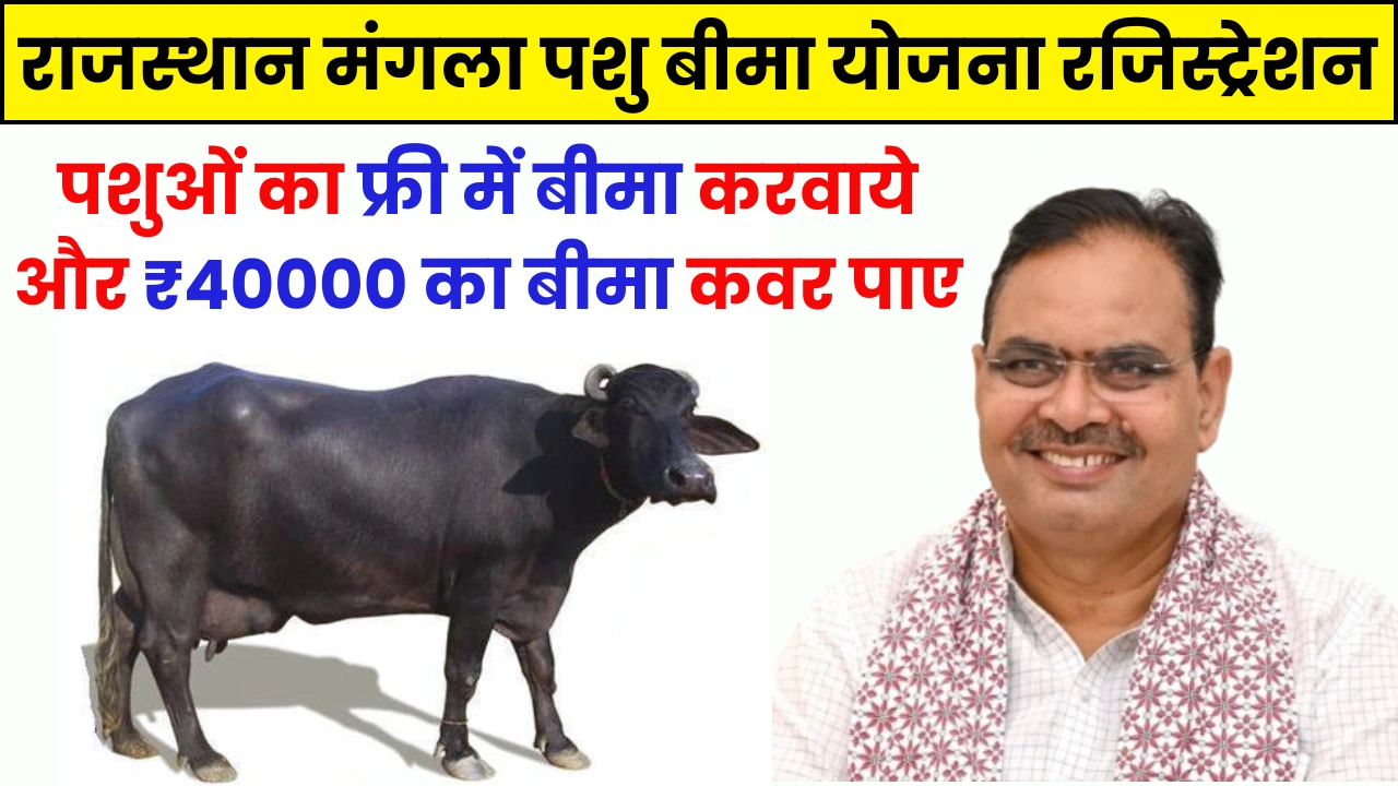 mukhyamantri mangla pashu bima yojana online registration