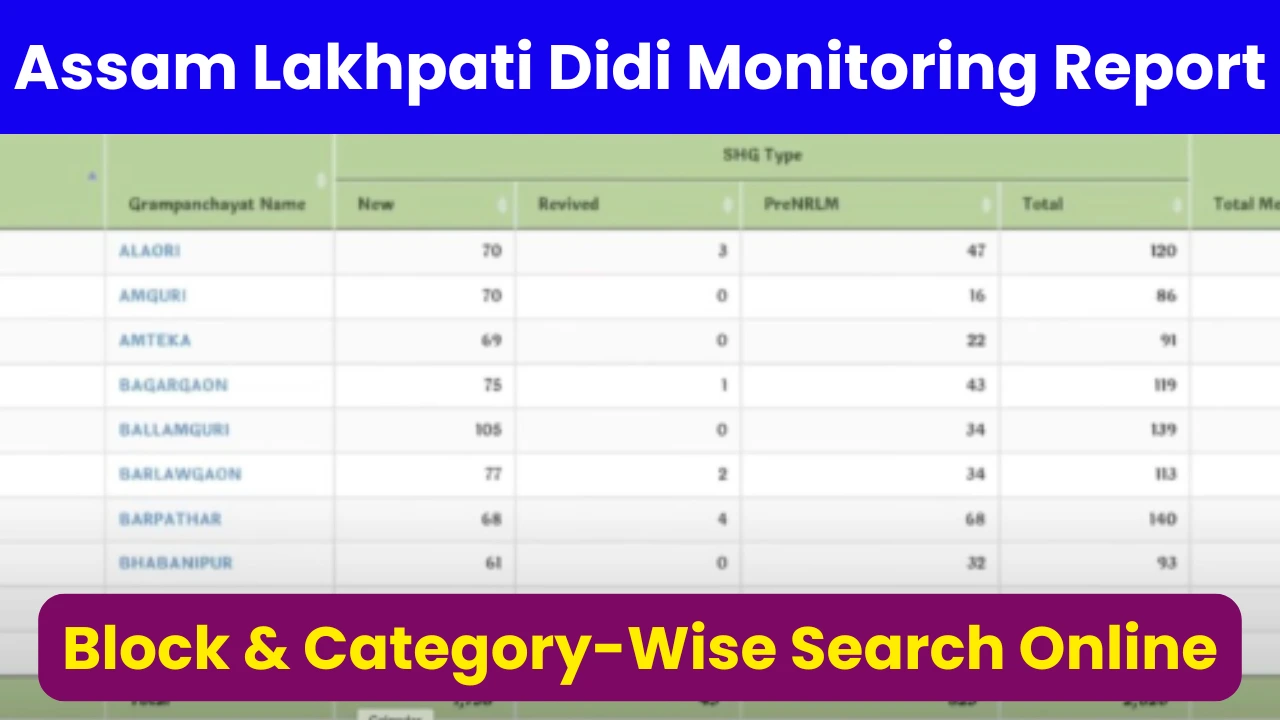 Assam Lakhpati Didi Monitoring Report