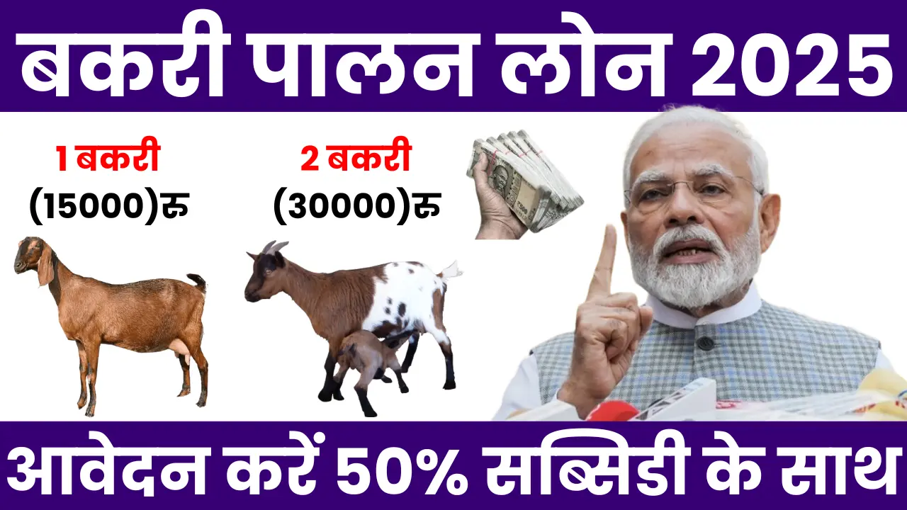 Bakri Palan Loan
